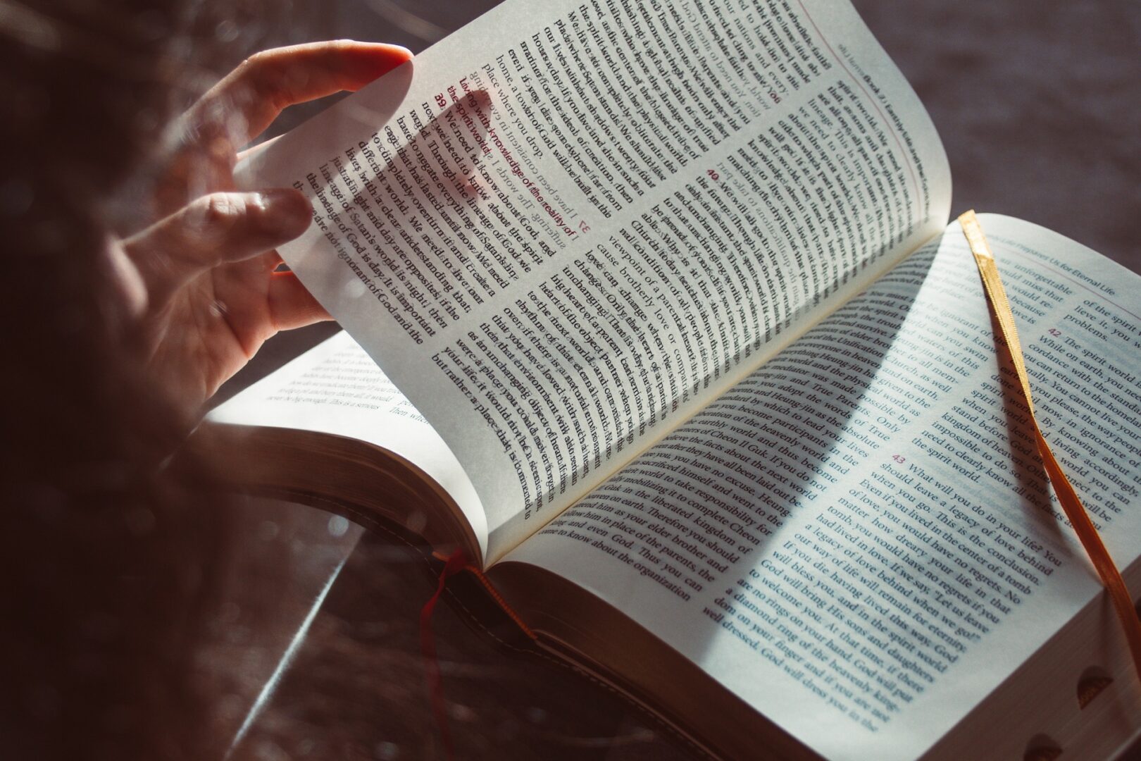 A person reading a bible